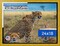 ArtToFrames 24x18 INCH / 61x46 CM Puzzle Frame for 300 piece Puzzles.This 1.00 Inch Custom Wood Frame for Puzzles Comes with Economy Acrylic, Available in Multiple Colors